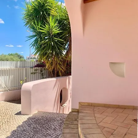 فيلة Amendoeiras 52