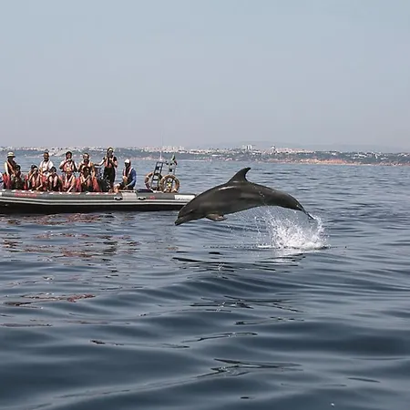 فيلة Amendoeiras 52 البوفيرا