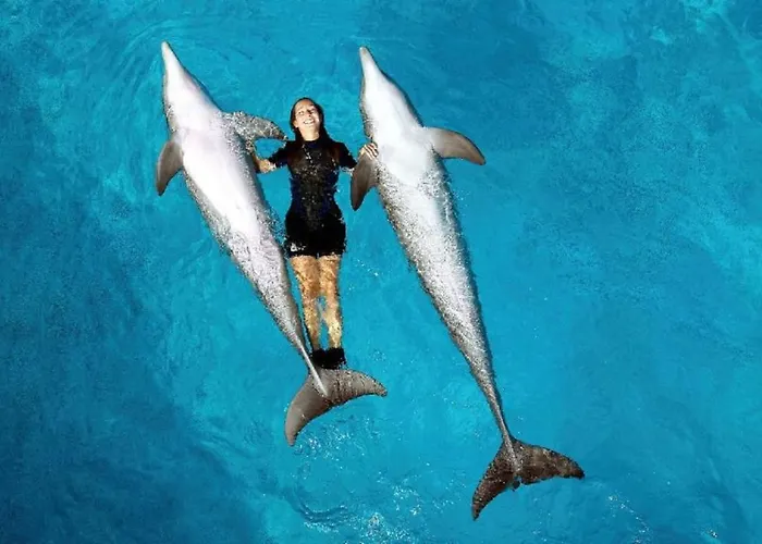 Amendoeiras 52 Villa Albufeira