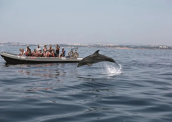 Villa Amendoeiras 52 Albufeira